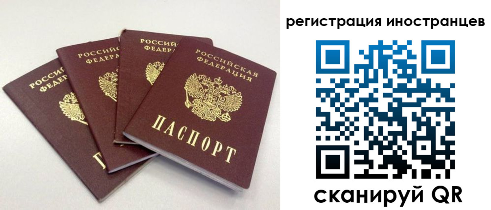 временная регистрация для школы в Щёкино